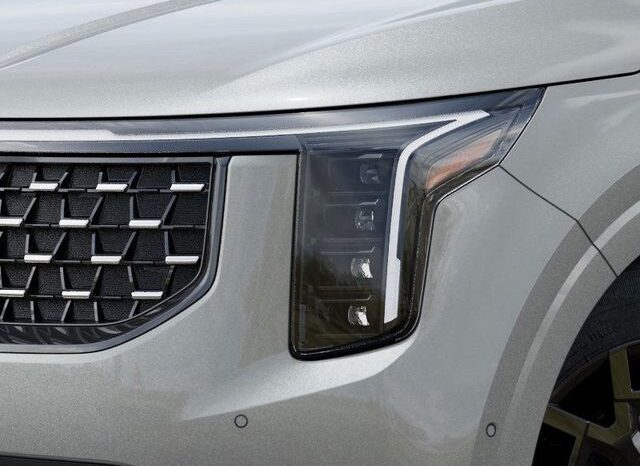 
 Kia Carnival Hybrid full									