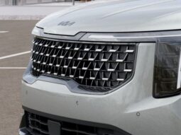 
 Kia Carnival Hybrid full									