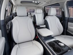 
 Kia Carnival Hybrid full									