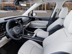 
 Kia Carnival Hybrid full									