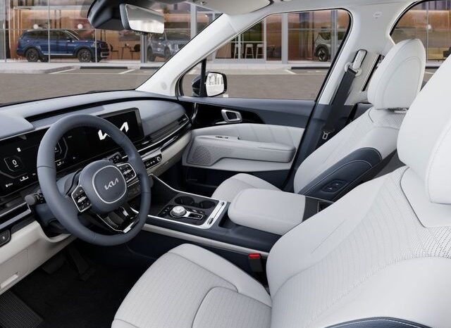 
 Kia Carnival Hybrid full									