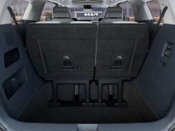 
 Kia Carnival Hybrid full									