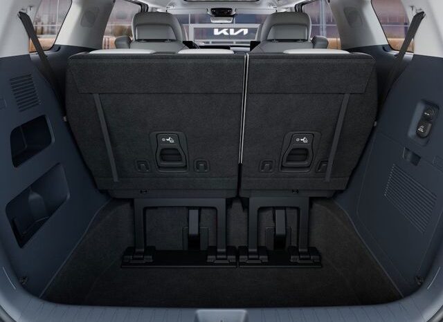 
 Kia Carnival Hybrid full									