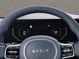 
 Kia Carnival Hybrid full									