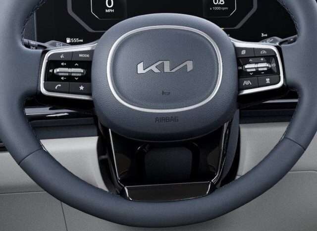 
 Kia Carnival Hybrid full									