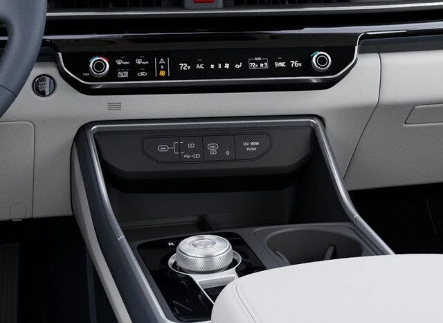 
 Kia Carnival Hybrid full									