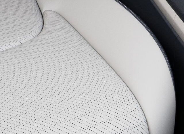 
 Kia Carnival Hybrid full									