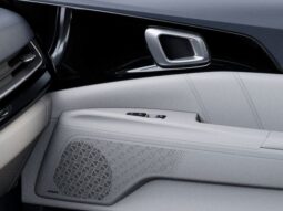 
 Kia Carnival Hybrid full									