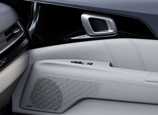 
 Kia Carnival Hybrid full									