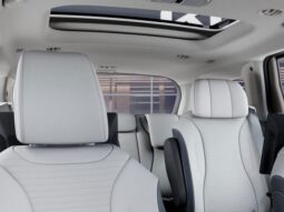 
 Kia Carnival Hybrid full									