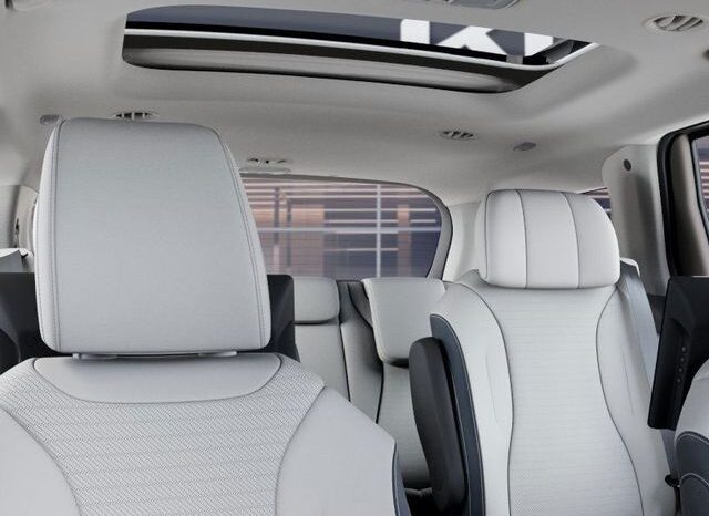 
 Kia Carnival Hybrid full									