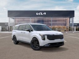 
 Kia Carnival Hybrid full									