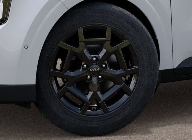 
 Kia Carnival Hybrid full									