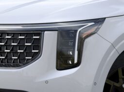 
 Kia Carnival Hybrid full									