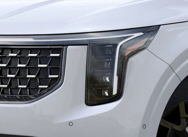 
 Kia Carnival Hybrid full									