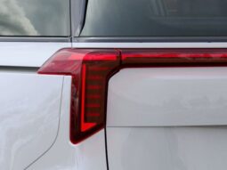 
 Kia Carnival Hybrid full									