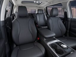 
 Kia Carnival Hybrid full									