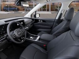 
 Kia Carnival Hybrid full									