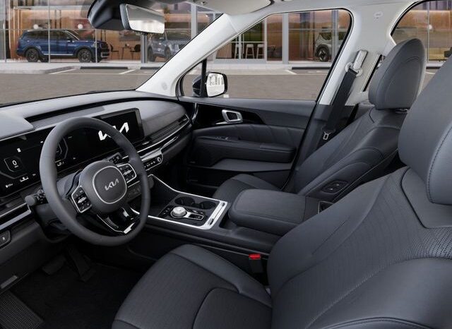 
 Kia Carnival Hybrid full									