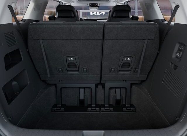 
 Kia Carnival Hybrid full									