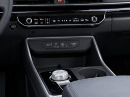 
 Kia Carnival Hybrid full									