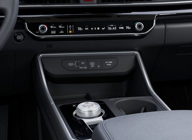 
 Kia Carnival Hybrid full									