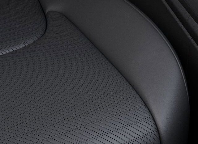 
 Kia Carnival Hybrid full									