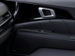 
 Kia Carnival Hybrid full									