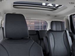 
 Kia Carnival Hybrid full									