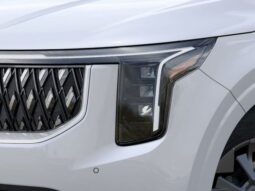 
 Kia Carnival Hybrid full									