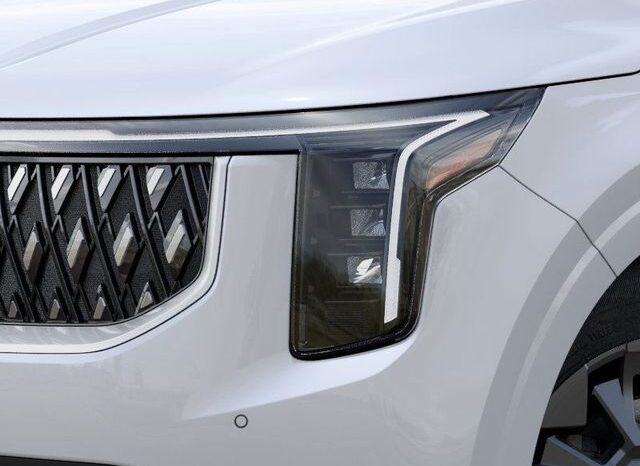 
 Kia Carnival Hybrid full									