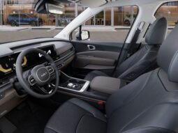 
 Kia Carnival Hybrid full									