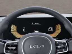 
 Kia Carnival Hybrid full									