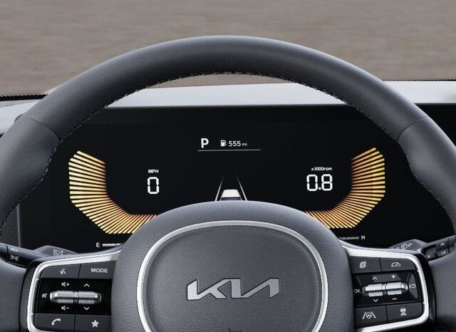 
 Kia Carnival Hybrid full									