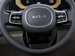 
 Kia Carnival Hybrid full									