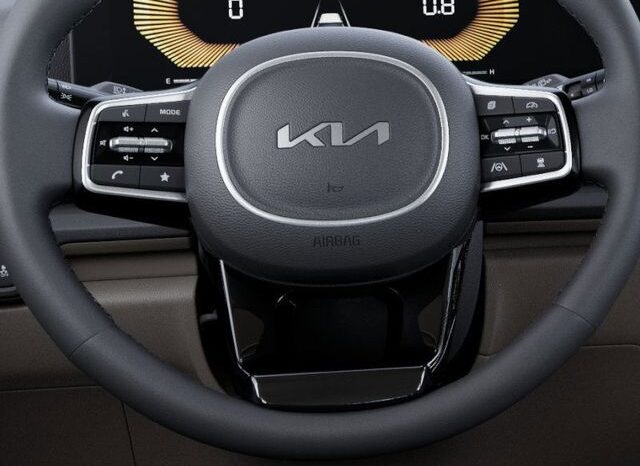 
 Kia Carnival Hybrid full									
