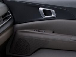 
 Kia Carnival Hybrid full									