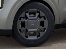 
 Kia Carnival Hybrid full									