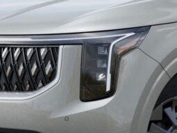 
 Kia Carnival Hybrid full									