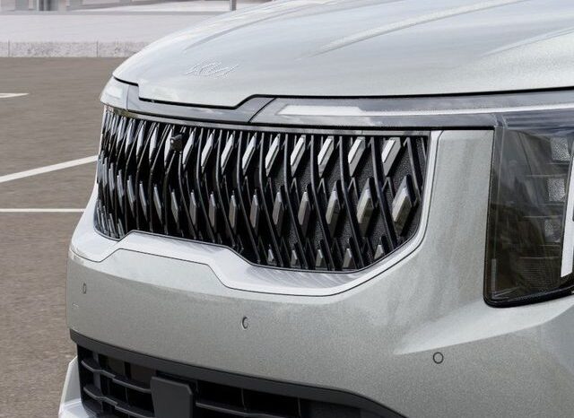 
 Kia Carnival Hybrid full									