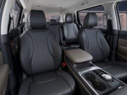 
 Kia Carnival Hybrid full									