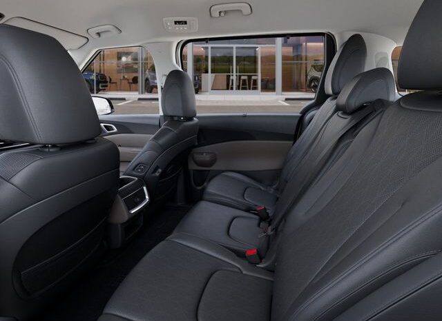 
 Kia Carnival Hybrid full									