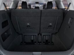 
 Kia Carnival Hybrid full									