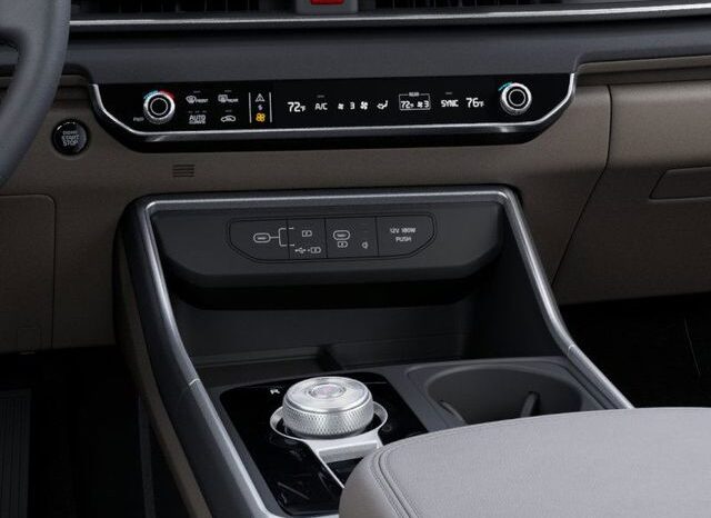 
 Kia Carnival Hybrid full									