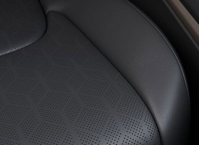 
 Kia Carnival Hybrid full									