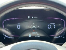 
 Kia Sportage full									