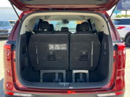 
 Kia Carnival full									