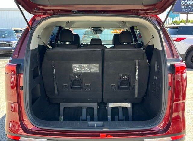 
 Kia Carnival full									