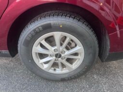 
 Kia Carnival full									