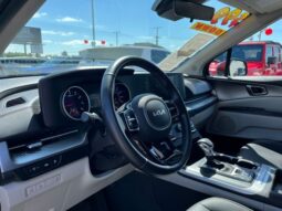 
 Kia Carnival full									